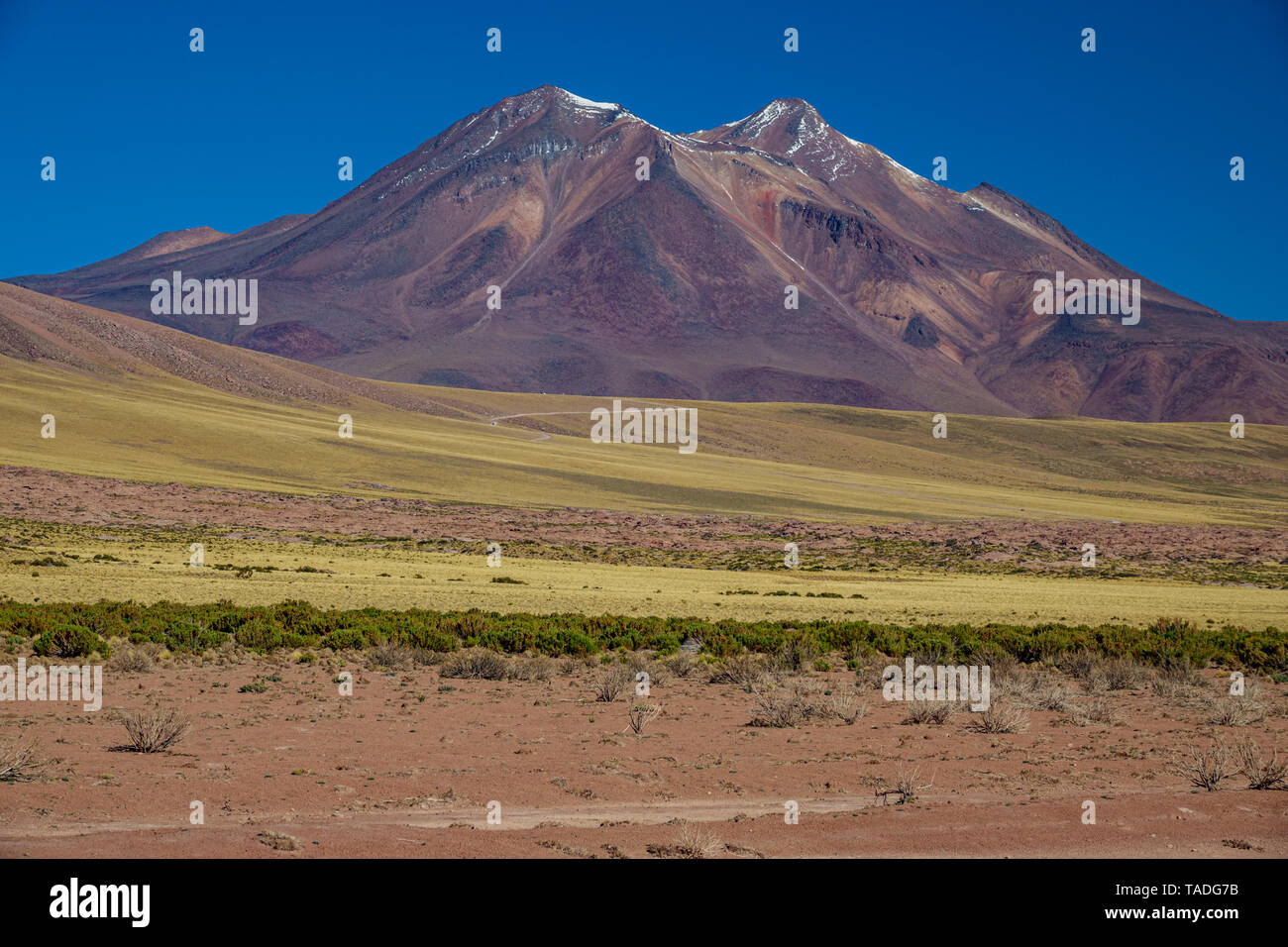 Miniques e Miscanti lagune via in Atacama highlands Foto Stock