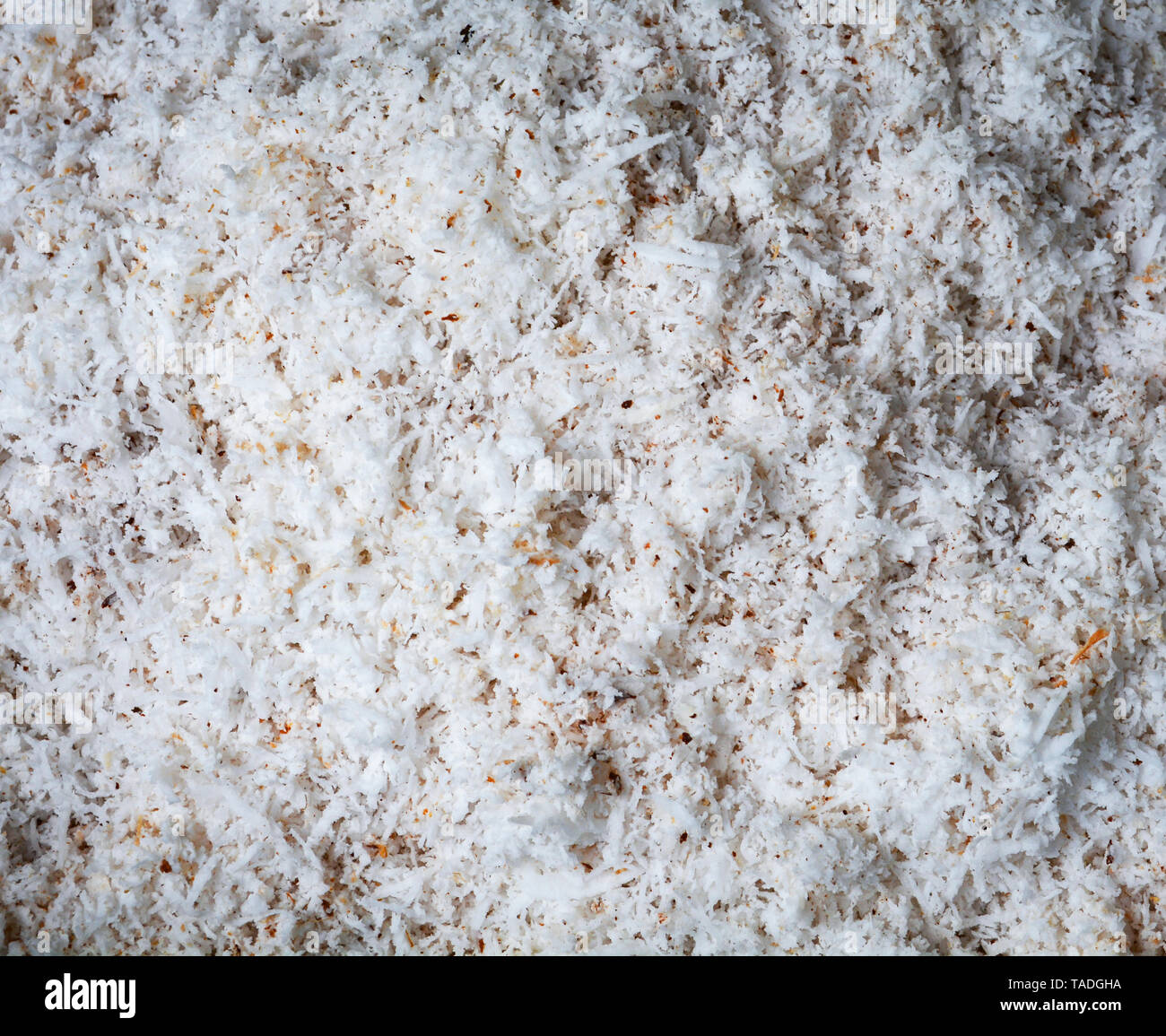 Shredded coconut scraping out of fresh for coconut milk on background Foto Stock