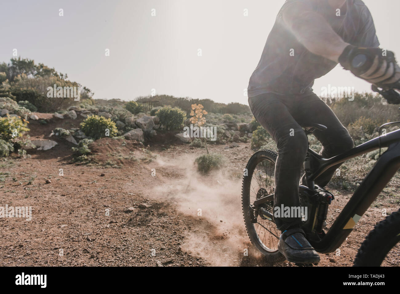 Spagna, Lanzarote, vista parziale di mountainbiker su un viaggio nel paesaggio desertico Foto Stock