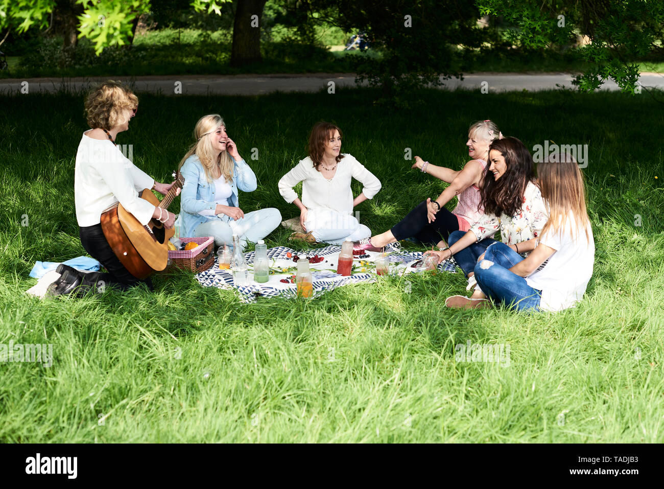 Il gruppo di donne con guitar avente il divertimento a un picnic nel parco Foto Stock