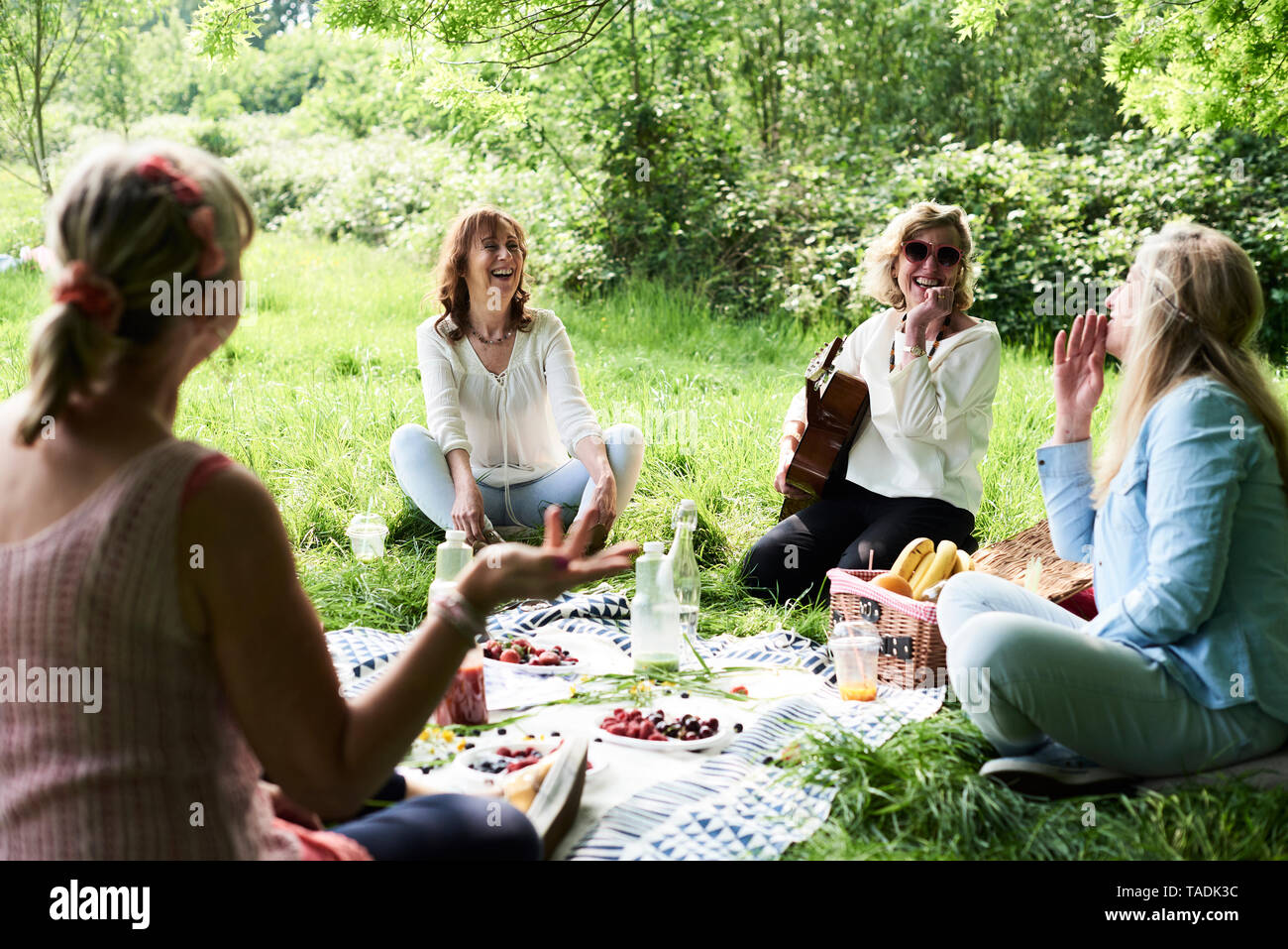 Il gruppo di donne con guitar avente il divertimento a un picnic nel parco Foto Stock