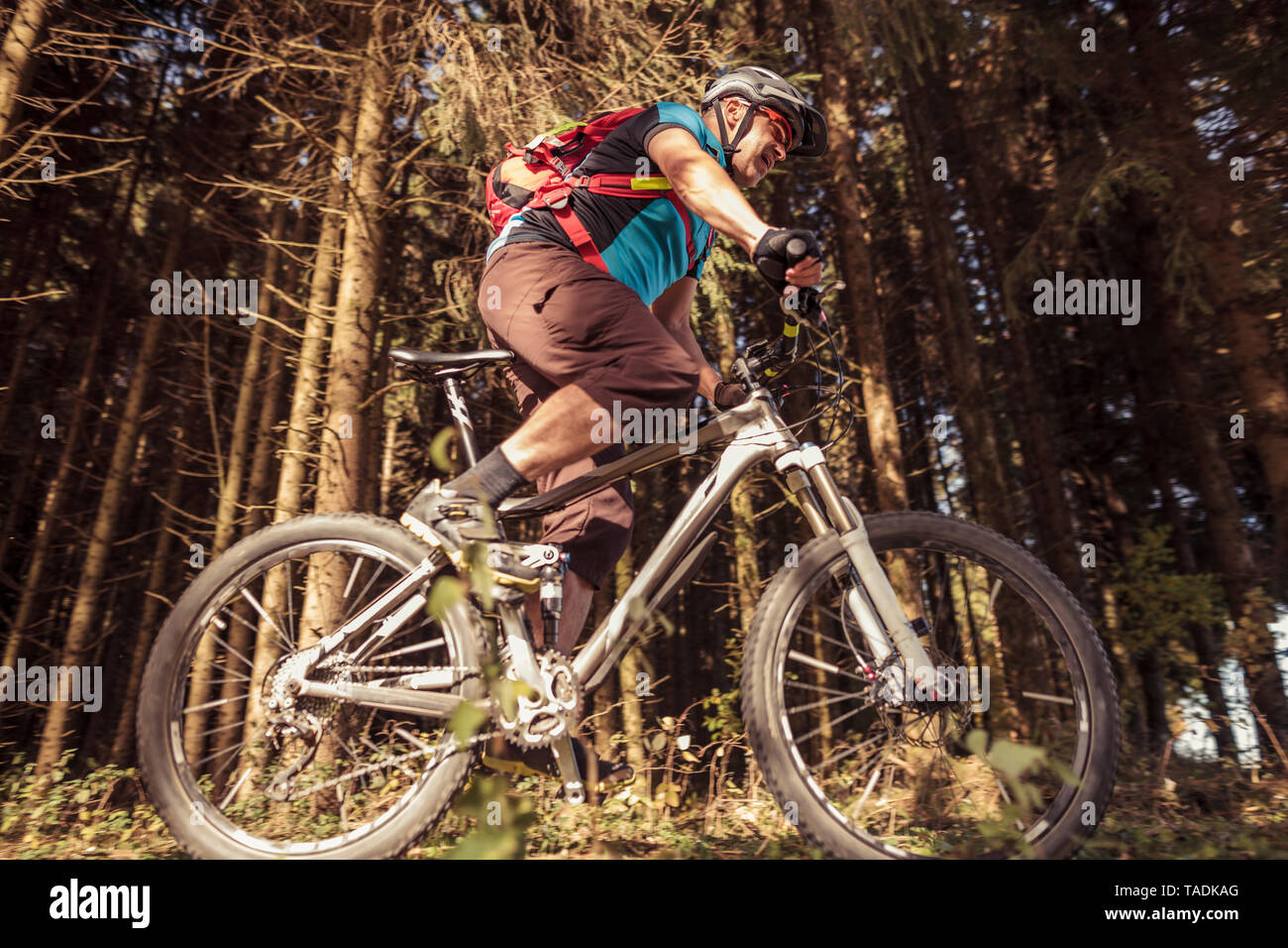 Uomo a cavallo in mountain bike sulla pista forestale Foto Stock