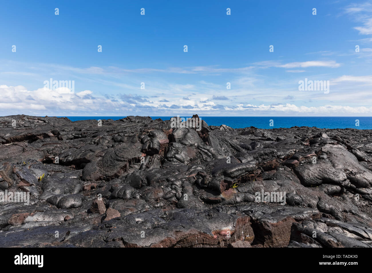 Stati Uniti d'America, Hawaii, Big Island, Parco Nazionale Vulcani, Ka Lae Apuki, campi di lava Foto Stock