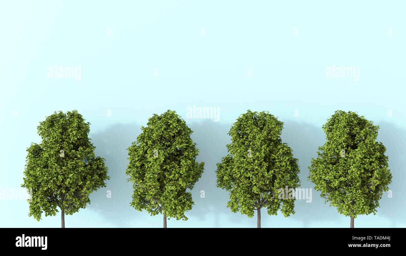 3D rendering, Fila di alberi di estate Foto Stock