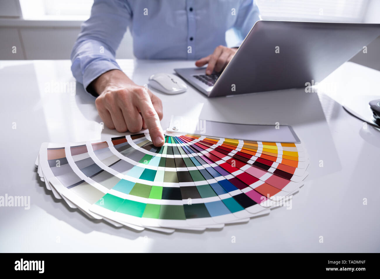 Immagine ritagliata del designer maschio mantenendo i campioni di colore durante l'utilizzo di laptop a scrivania Foto Stock