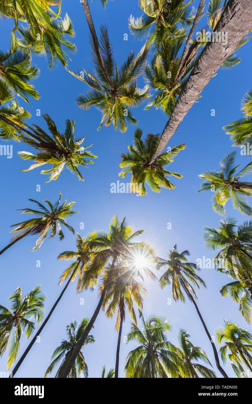 Stati Uniti d'America, Hawaii, Big Island, Pu'uhonua o Honaunau National Park Foto Stock