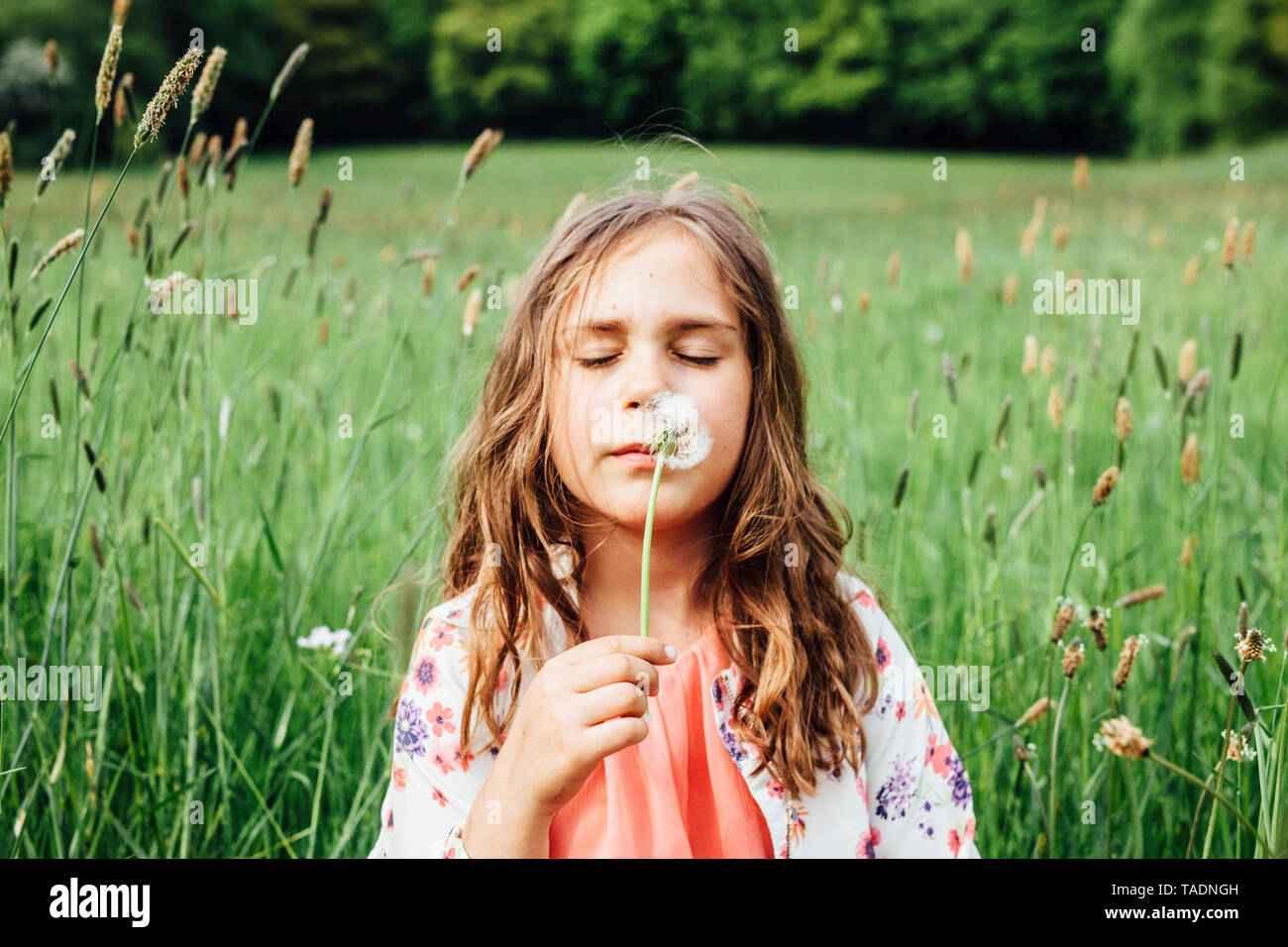 Ritratto di ragazza con blowball su un prato Foto Stock