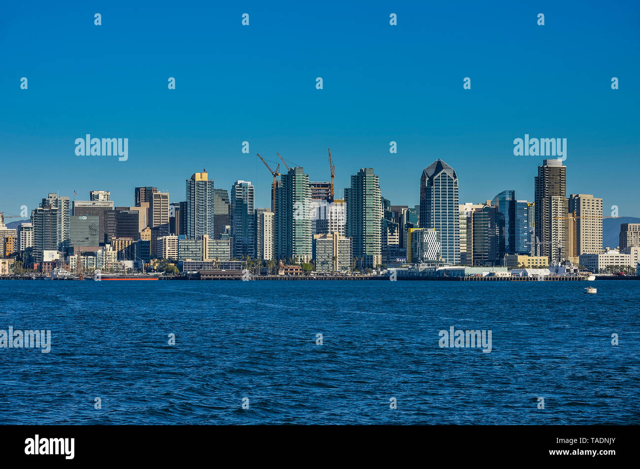 Stati Uniti, California, San Diego, Skyline Foto Stock