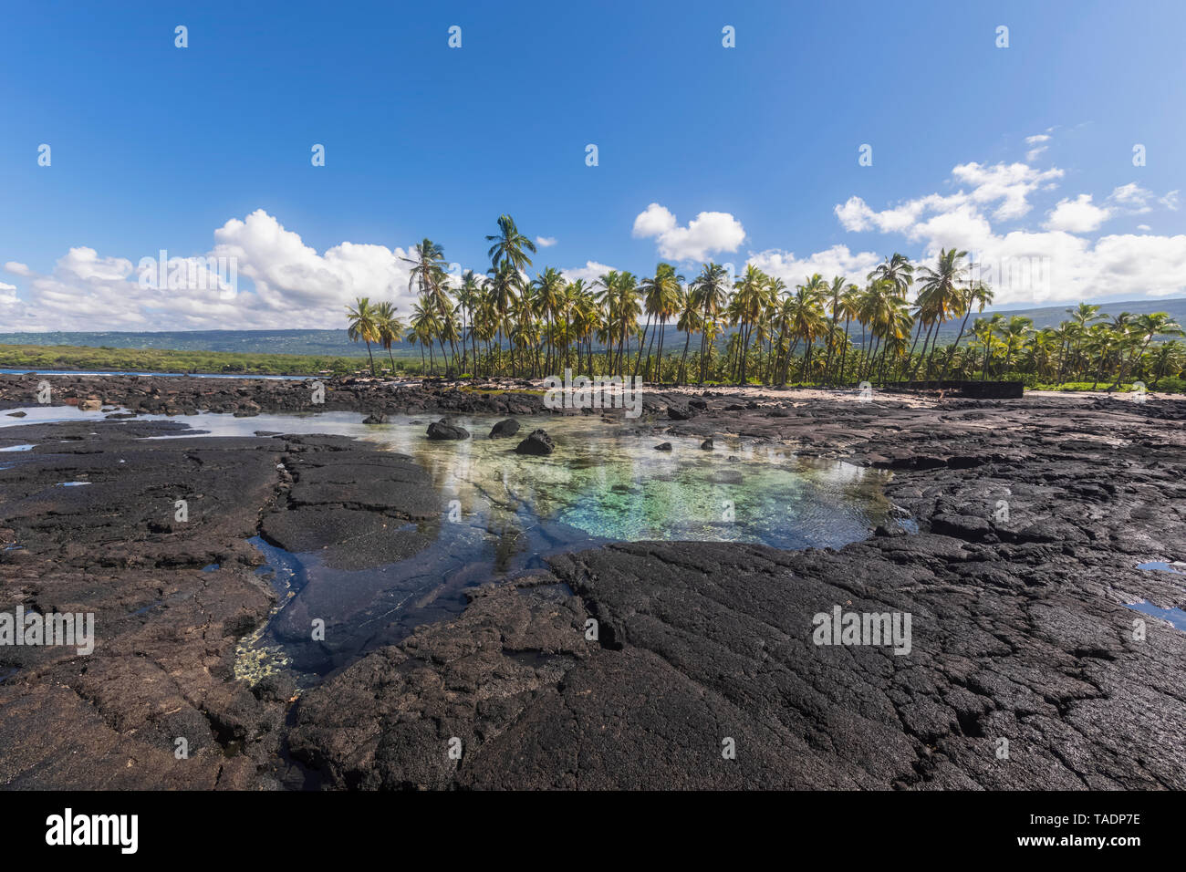 Stati Uniti d'America, Hawaii, Big Island, Pu'uhonua o Honaunau National Park, costa di lava Foto Stock