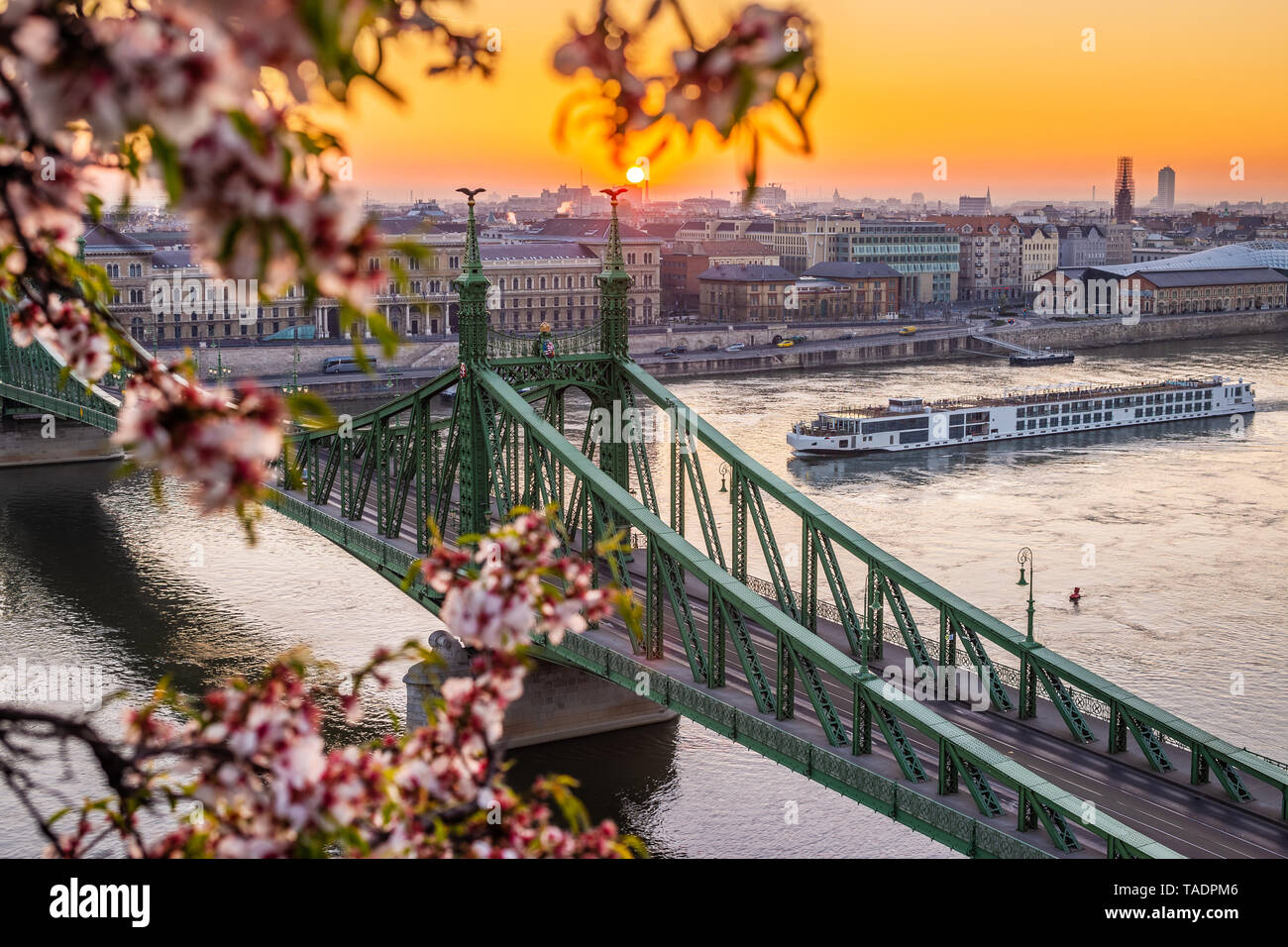 Budapest, Ungheria - splendido sole primaverile al Ponte della Libertà con la nave da crociera sul Fiume Danubio e fiore di ciliegio in primo piano Foto Stock