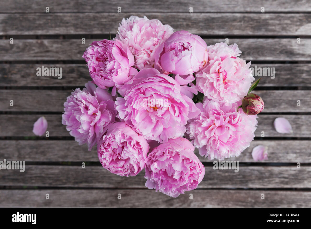 Rosa peonia bouquet sul tavolo da giardino Foto Stock