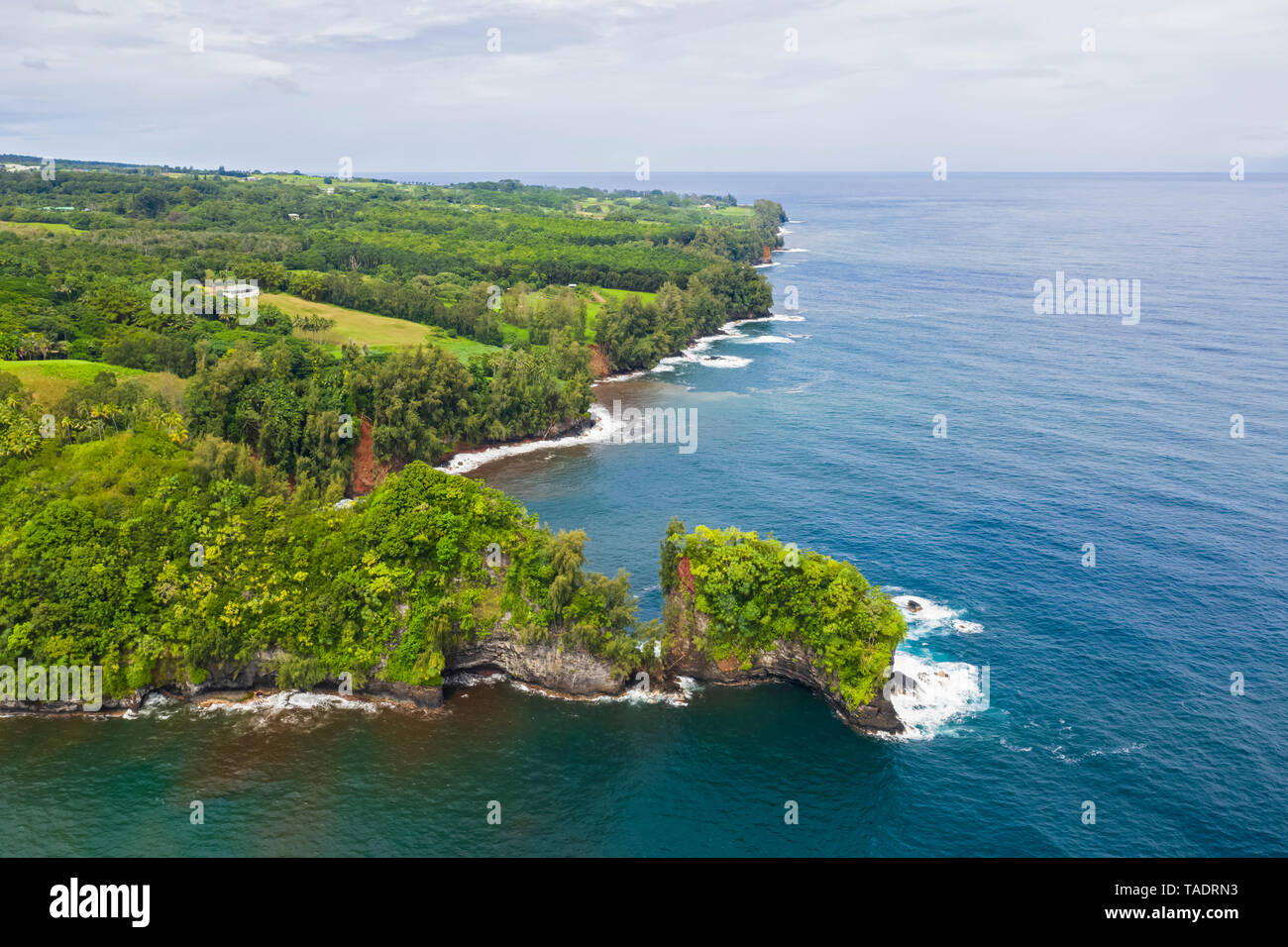 Stati Uniti d'America, Hawaii, Big Island, Onomea Bay, vista aerea Foto Stock