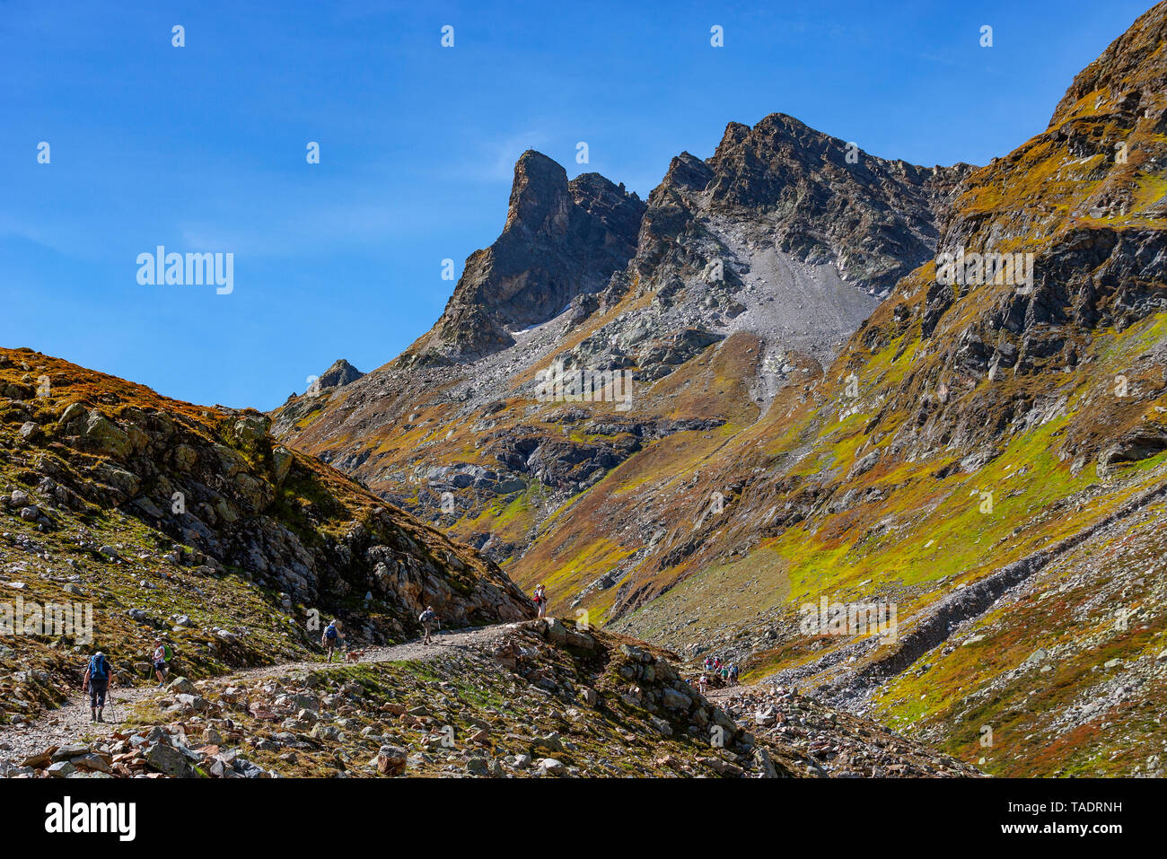 Austria Vorarlberg, Silvretta, Klostertal, Sonntagsspitze, trail Foto Stock