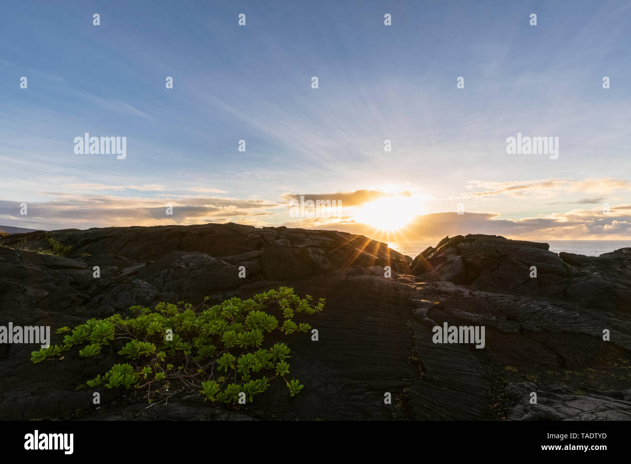 Stati Uniti d'America, Hawaii, Big Island, Parco Nazionale Vulcani, strutture di lava di sunrise Foto Stock