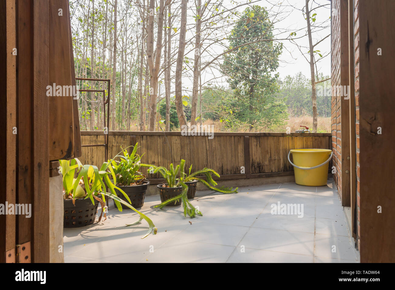 Terrazza di Interior Design camera con vista sulla foresta. Interior design room includono piante e alberi di bambù e. Interior design camera nella parte di soggiorno Foto Stock