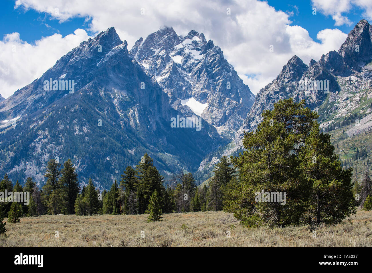 Stati Uniti d'America, Wyoming Teton compreso nel Parco Nazionale di Grand Teton Foto Stock