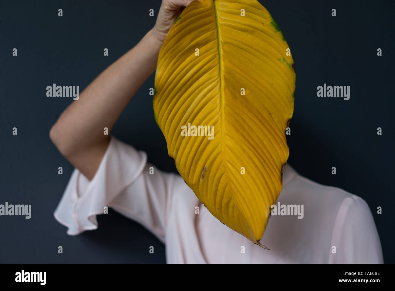 Donna che ricopre la faccia con un giallo banana leaf Foto Stock