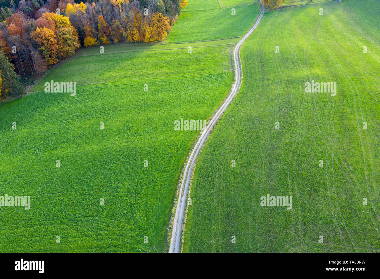 In Germania, in Baviera, Icking, sterrato e prati, vista aerea Foto Stock