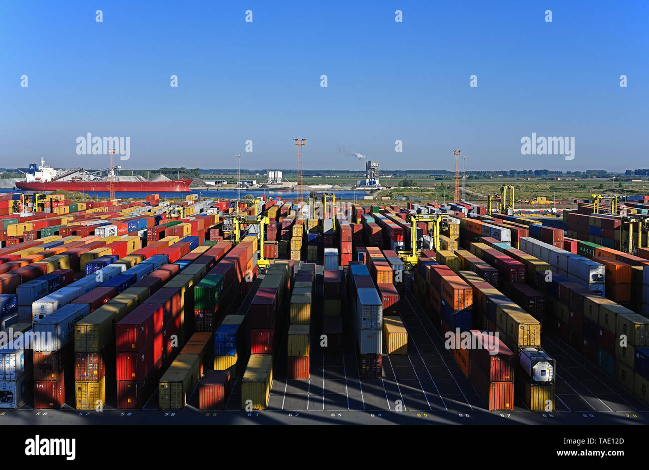 Porto di Anversa, Belgio - 2019.05.16: mpet terminal container di deurganckdok, sfondo: auto lo scarico di portarinfuse yeoman bontrup scarico presso Foto Stock