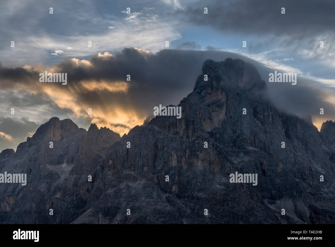 L'Italia, Dolomiti, Passo Rolle, Trentino, Pale di San Martino gruppo di montagna con picco di montagna il Cimon della Pala di sunrise Foto Stock