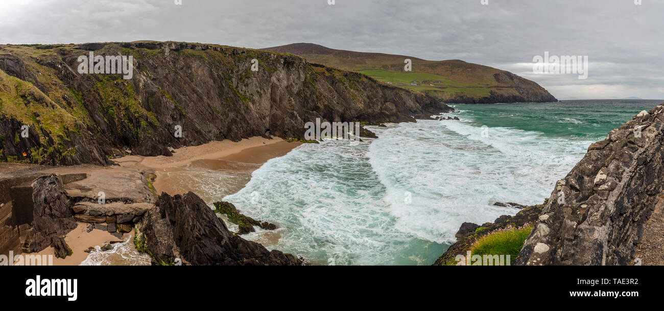 Vista panoramica a Dunmore testa sulla penisola di Dingle, nella contea di Kerry, Irlanda. Parte del selvaggio modo atlantico Foto Stock