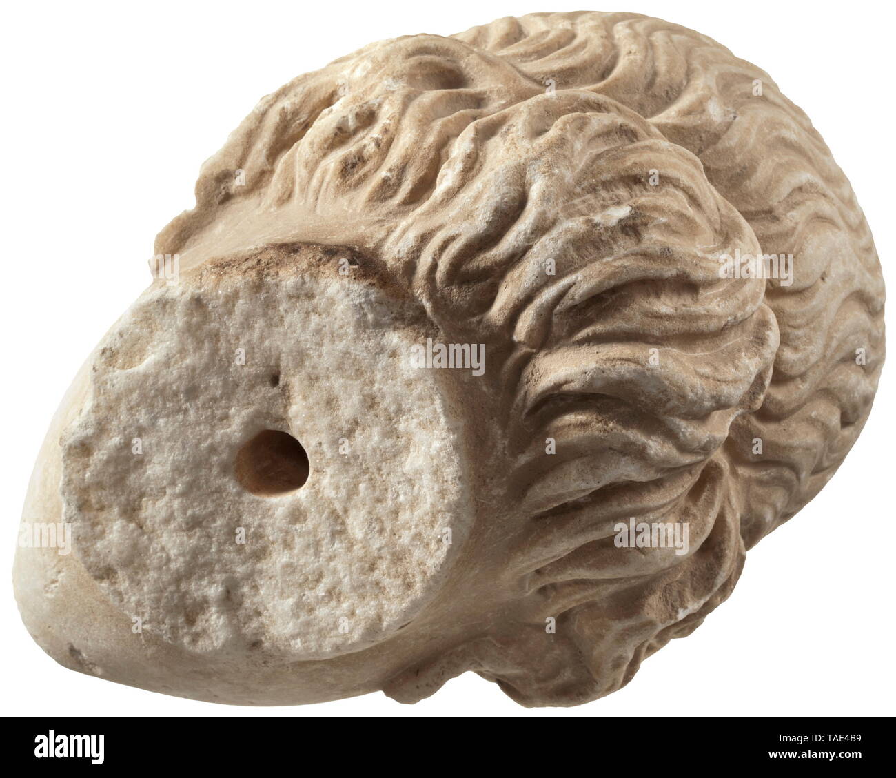 Un inizio di età ellenistica testa femminile - una bella copia del XIX secolo modellata dopo modelli greci testa femminile con capelli ondulati (Afrodite?) che viene fissato direttamente sopra la fronte da un nastro sottile, legato a un nodo sul retro della testa e coperta in corrispondenza dei due lati dai capelli intrecciati. Contorni nitidi della glabella (il ponte tra il naso e le arcate orbitali). Finemente volto modellato, la punta del naso rotto. L'interpretazione dell'archetto e archi orbitale non tipico per la Grecia antica, le arcate orbitali indicano che la scultura a han, Additional-Rights-Clearance-Info-Not-Available Foto Stock