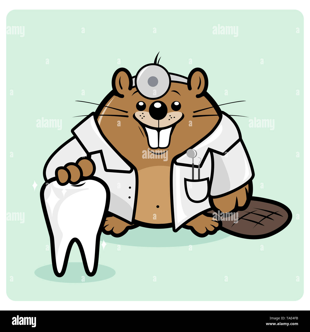 Dentista cartoni animati con denti puliti. Dentista di Beaver. Foto Stock