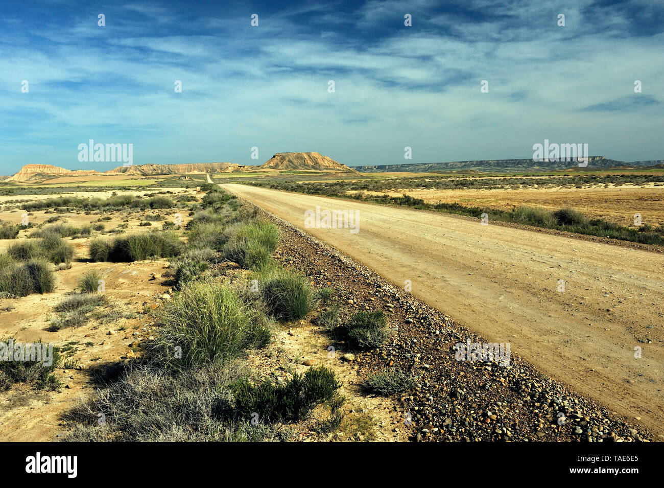 Il paesaggio di semi-deserto regione naturale delle Bardenas Reales, nella zona di Tudela, Navarra, Spagna Foto Stock