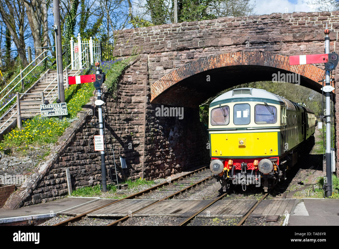 Vecchia locomotiva diesel tirando atrain sul patrimonio di una linea ferroviaria, Inghilterra, Regno Unito. Foto Stock