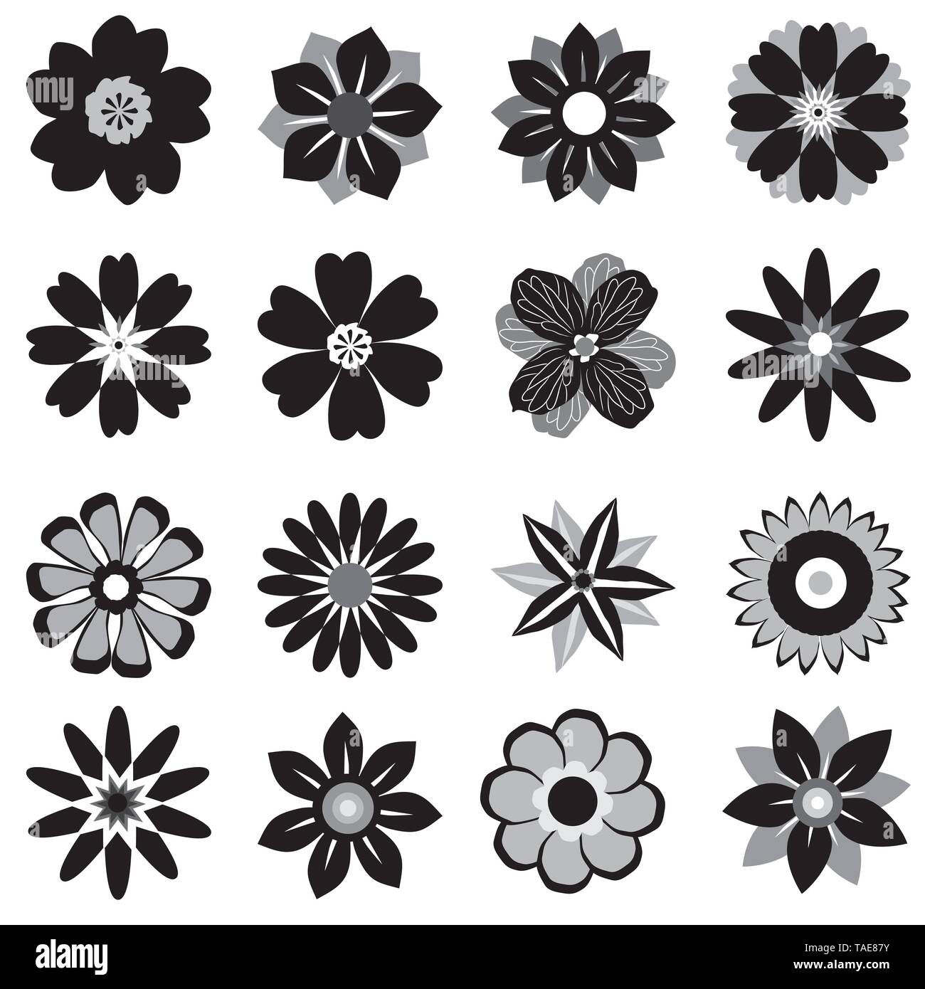 Una raccolta di fiori in grafica in bianco e nero Illustrazione Vettoriale