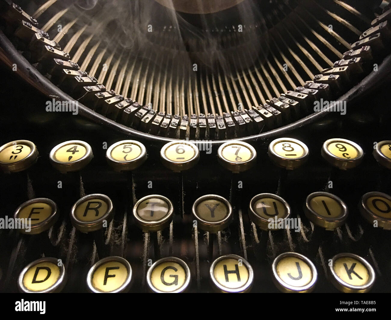 Romanzo nero scrittore, illustrazione, Lione, Francia Foto Stock