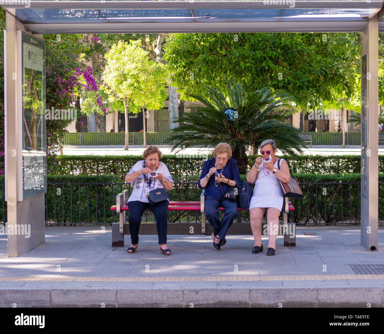 Tre donne mangiare gelati mentre è seduto su una panchina in attesa di un tram in Siviglia, regione Andalusia, Spagna Foto Stock