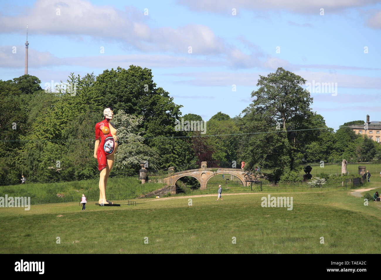 La gente guarda i dieci metri di altezza la scultura della Vergine Madre per artista Damien Hirst a Yorkshire Sculpture Park (YSP) vicino a Wakefield, precedendo la Yorkshire inaugurale internazionale di scultura su Giugno 22. Foto Stock