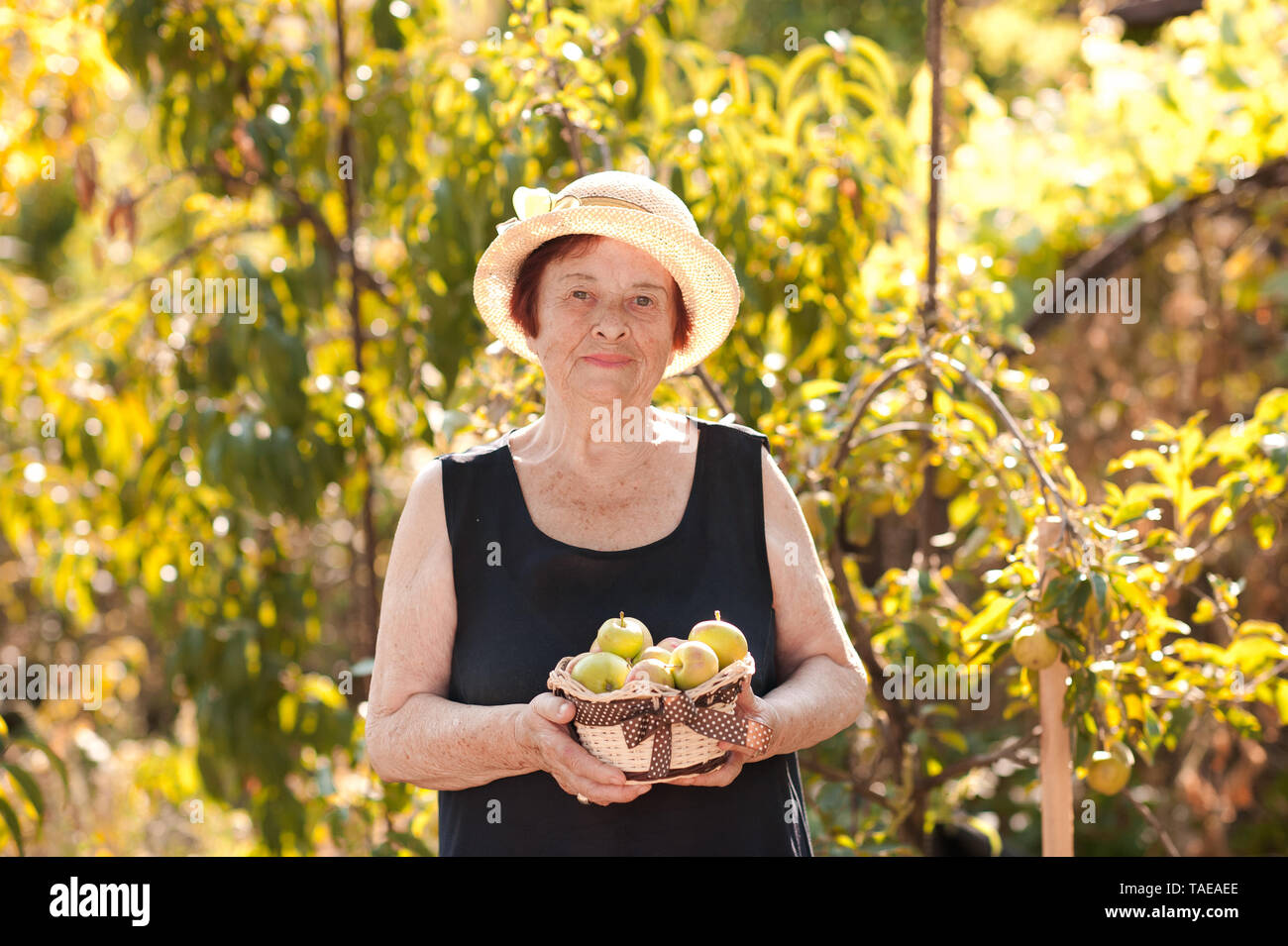 Sorridente donna senior 60-70 anni cestello di contenimento con mele verdi in giardino. Guardando alla fotocamera. La molla per la mietitura. Foto Stock