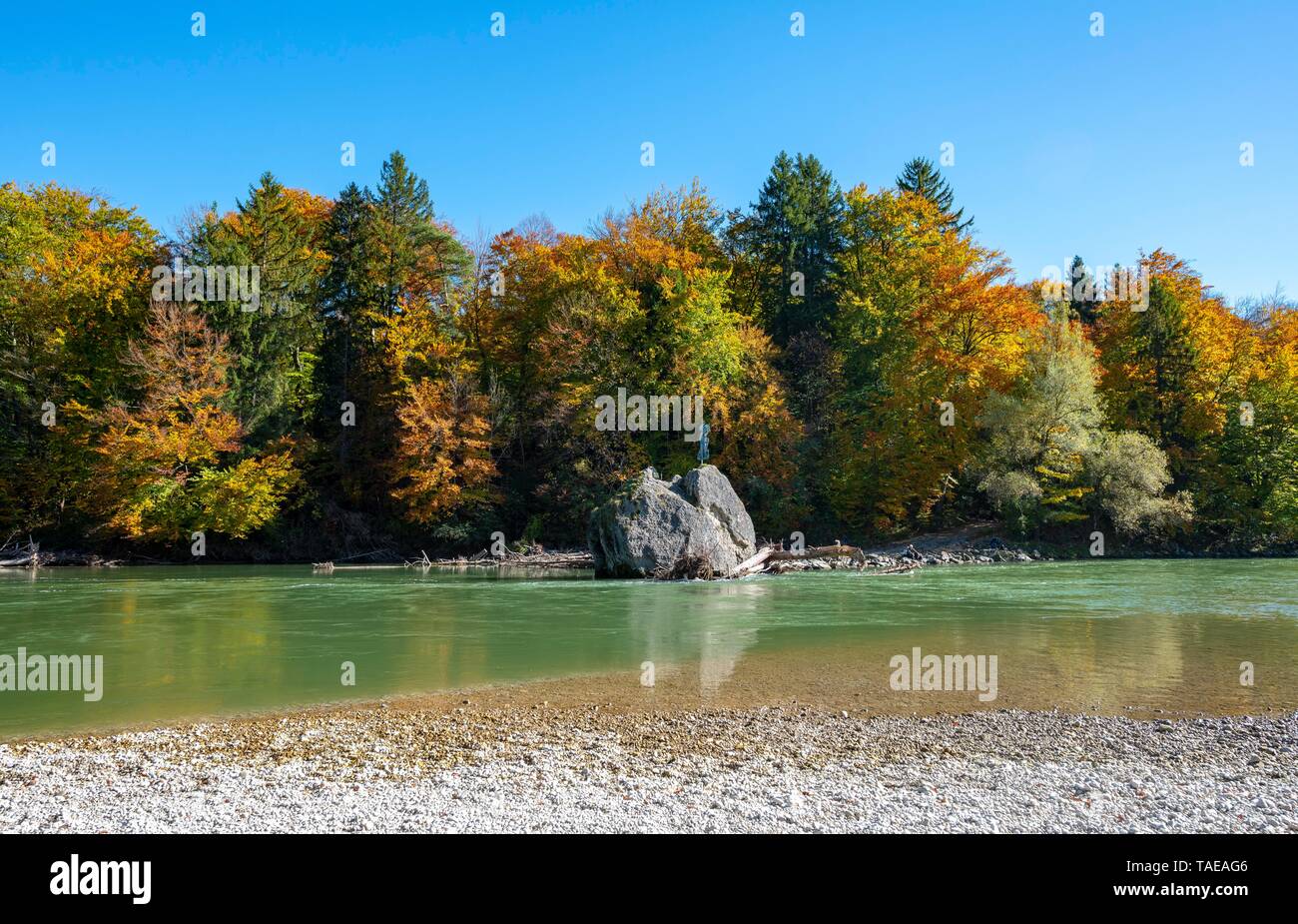 Georgenstein, rock con la sacra immagine nel fiume Isar con colorazione autunnale, della conservazione del paesaggio Isartal area, vicino Baierbrunn, Alta Baviera Foto Stock