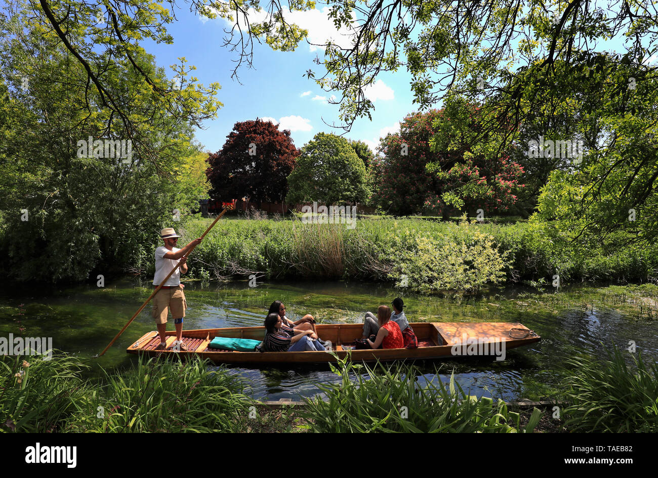 Il turista gode punting attraverso Westgate Giardini in Canterbury Kent, durante la stagione calda. Foto Stock