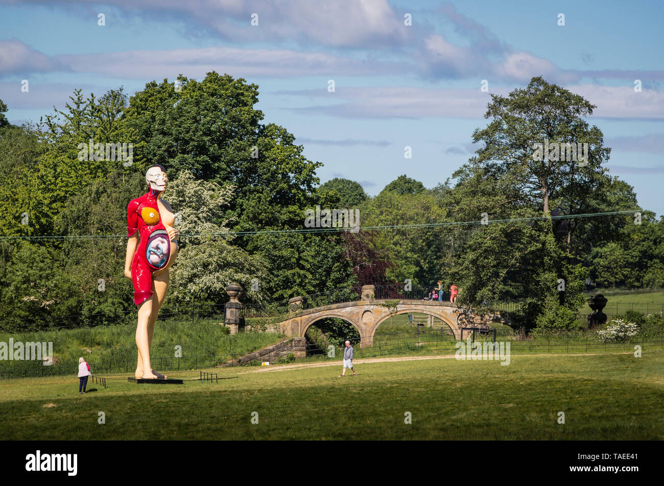 La gente guarda i dieci metri di altezza la scultura della Vergine Madre per artista Damien Hirst a Yorkshire Sculpture Park (YSP) vicino a Wakefield, precedendo la Yorkshire inaugurale internazionale di scultura su Giugno 22. Foto Stock