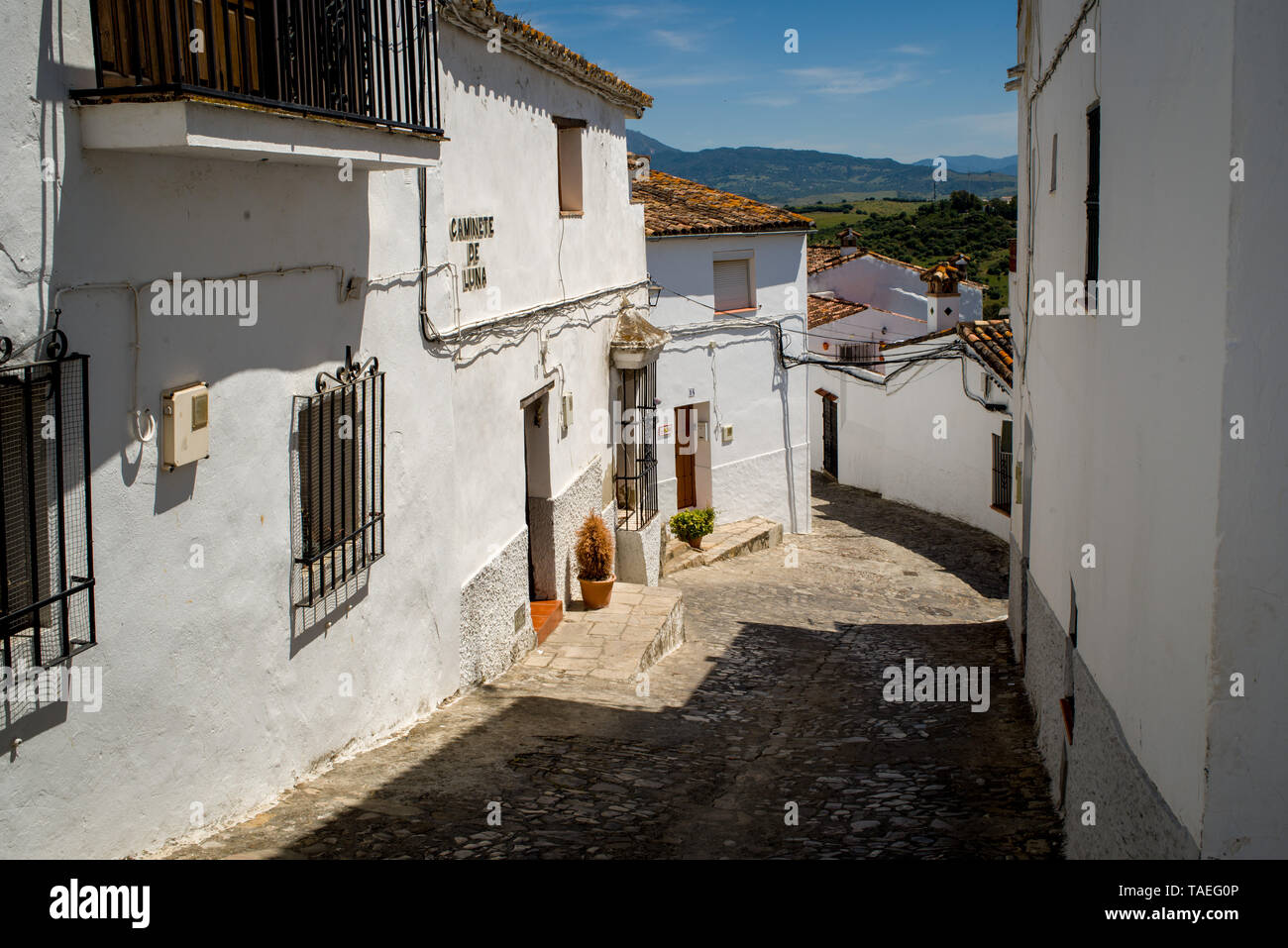 Jimena de la Frontera borgo della provincia di Cadice, Andalusia, Spagna. Foto Stock