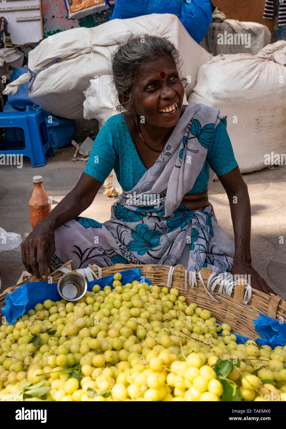 Ritratto verticale di una signora vendere giuggiolo in India. Foto Stock