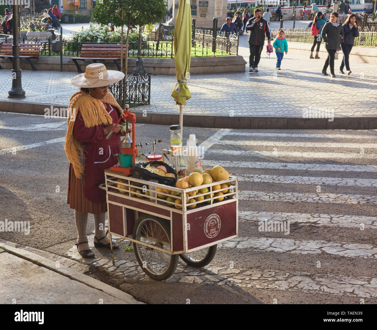 Fornitore di succo nella Plaza de 10 Noviembre di colonial Potosí, Bolivia Foto Stock