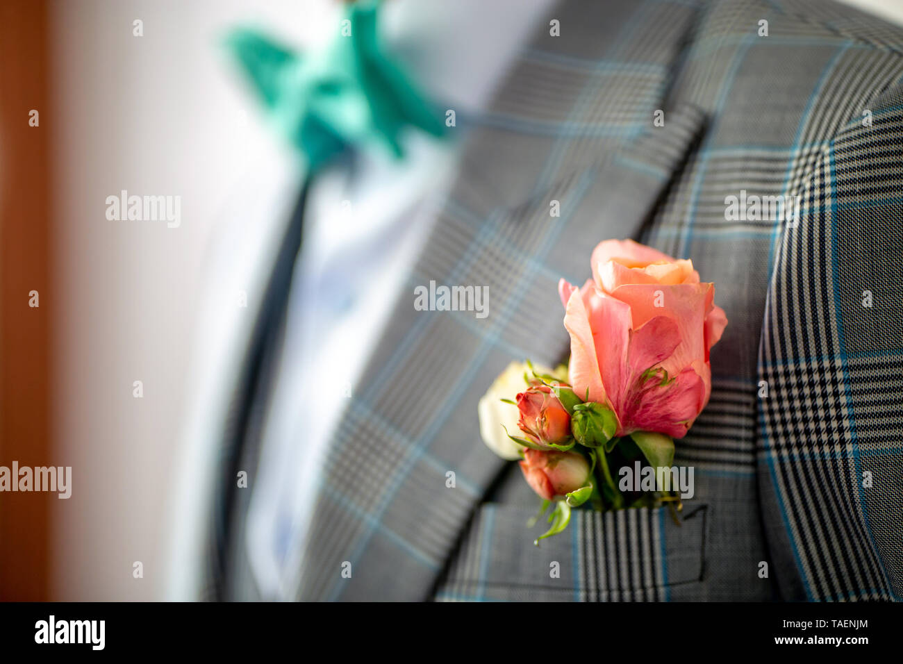 Boutonniere di nozze di rosa nella tasca della camicia a scacchi dello sposo. Boutonniere di rose rosa in govern tasca della giacca. Foto Stock