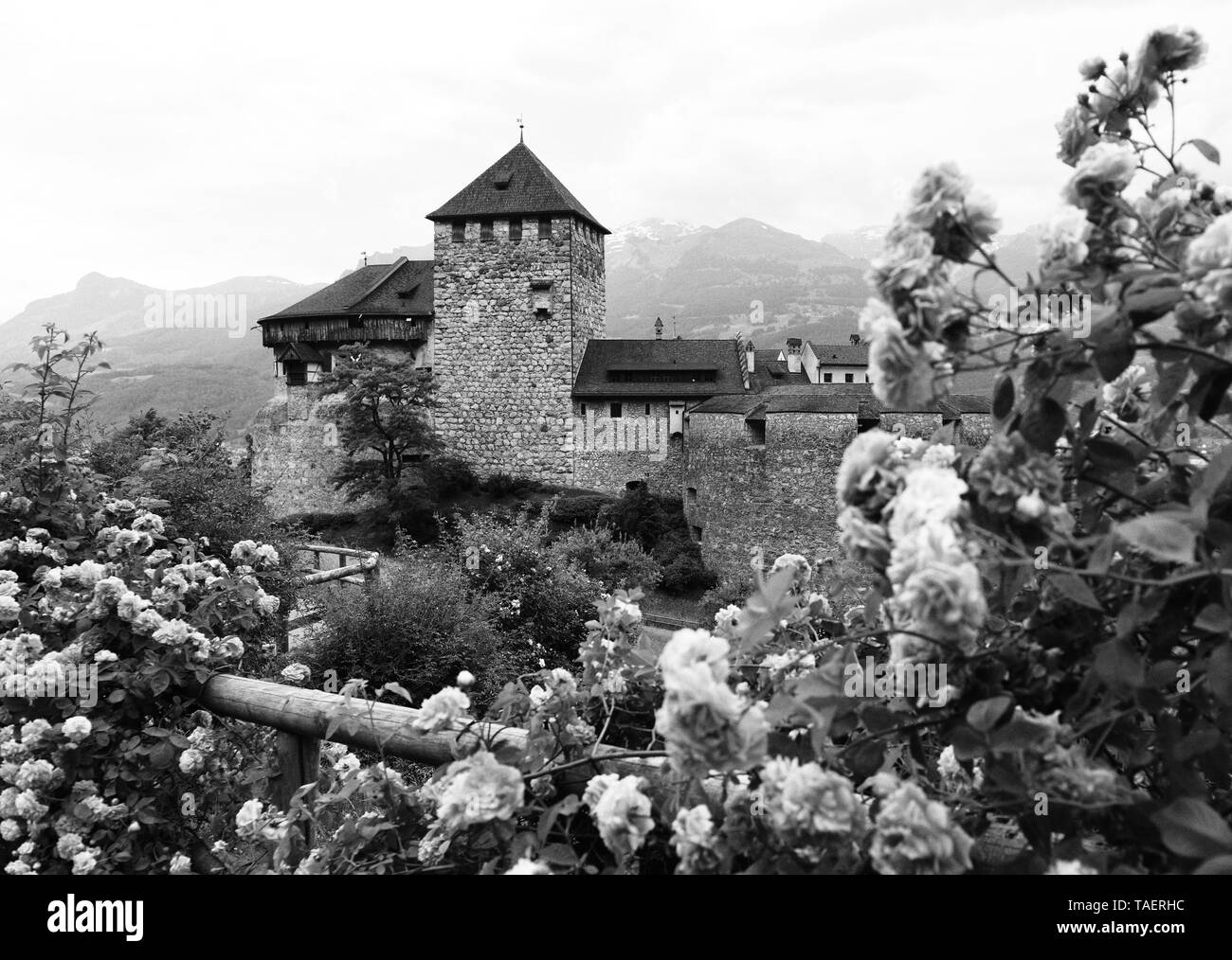 Il castello di Gutenberg a Vaduz, Liechtenstein. Questo castello è il palazzo e la residenza ufficiale del Principe del Liechtenstein Foto Stock