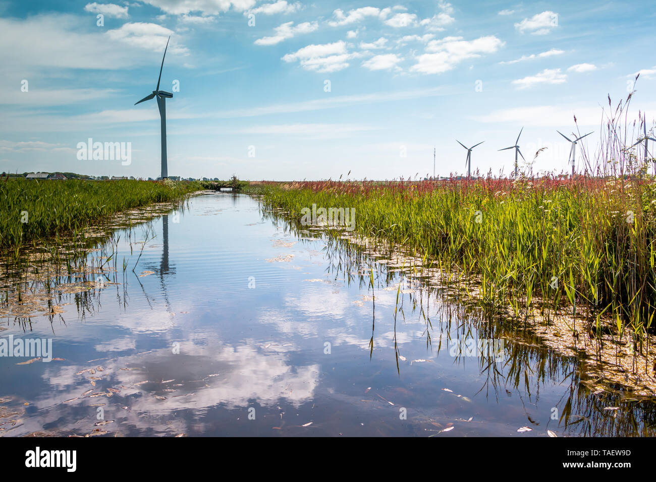 Bella fosso e sullo sfondo i mulini a vento, i Paesi Bassi, nella provincia di Friesland, regione Gaasterland Foto Stock