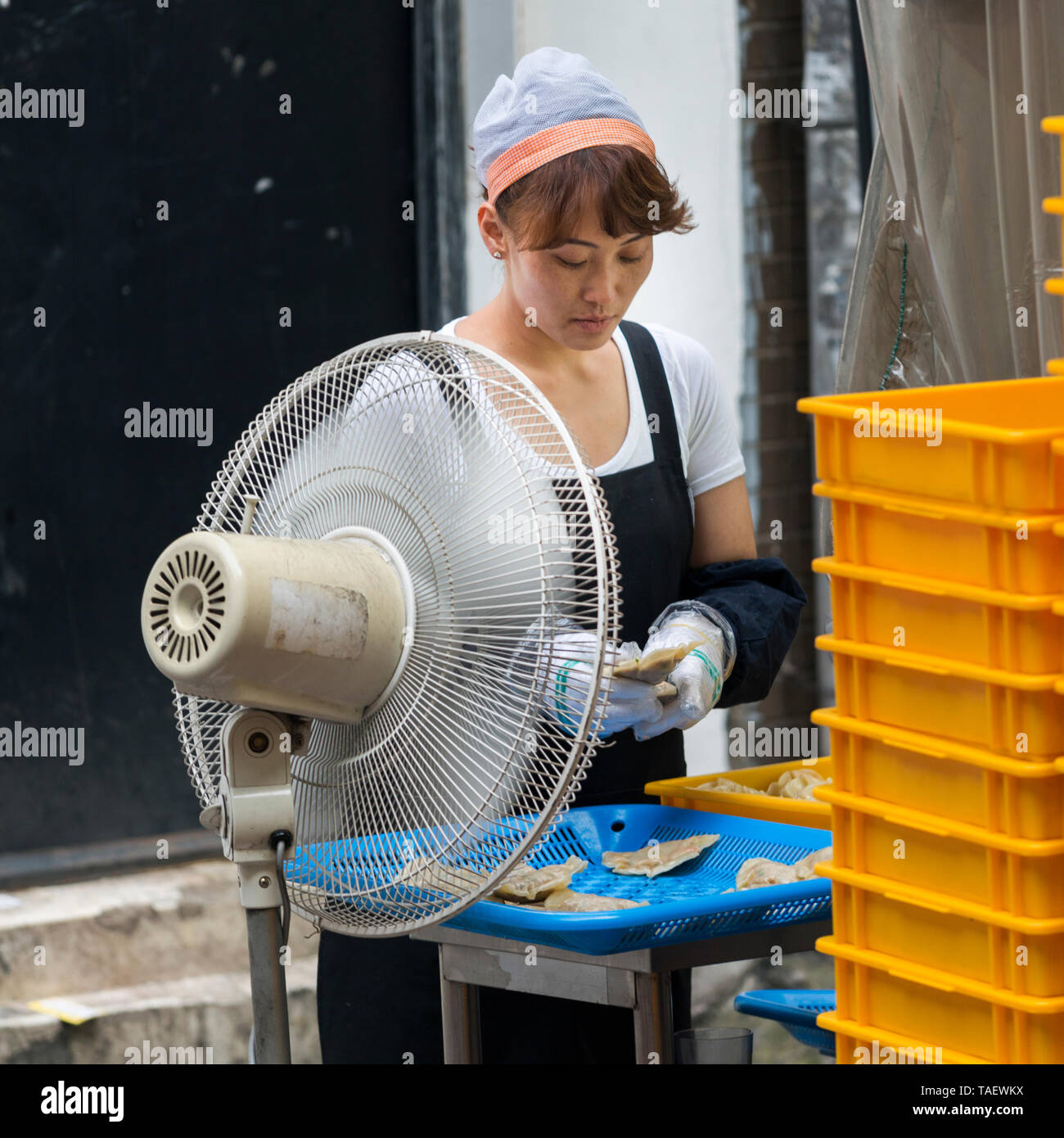 Donna di trasformazione di materie cibo Coreano, Seoul, Corea del Sud Foto Stock