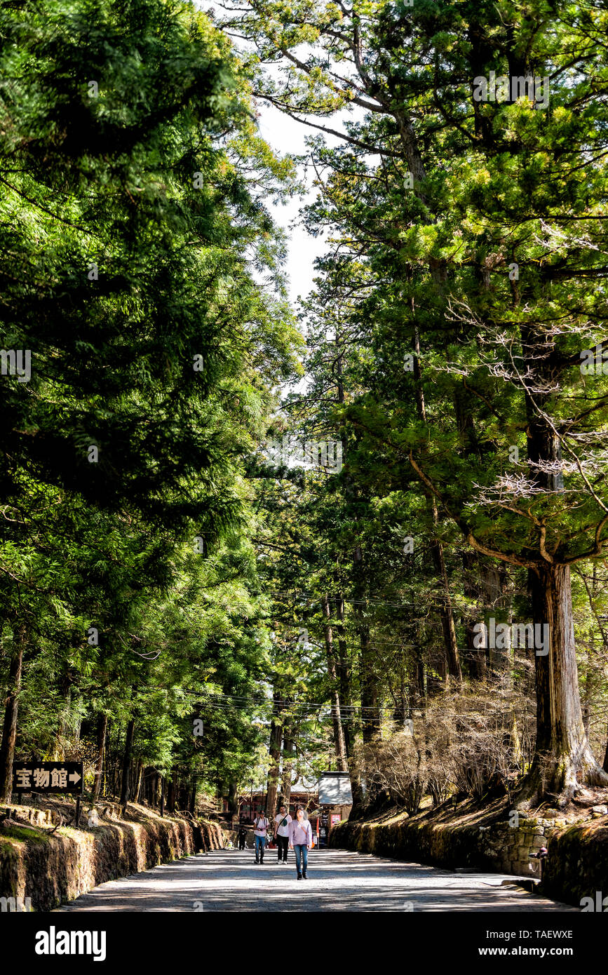 Nikko, Giappone - Aprile 5, 2019: sentiero percorso vicino Tempio Toshogu santuario nella Prefettura di Tochigi durante la primavera con molti turisti gente da alberi di alto fusto in tutti i Foto Stock