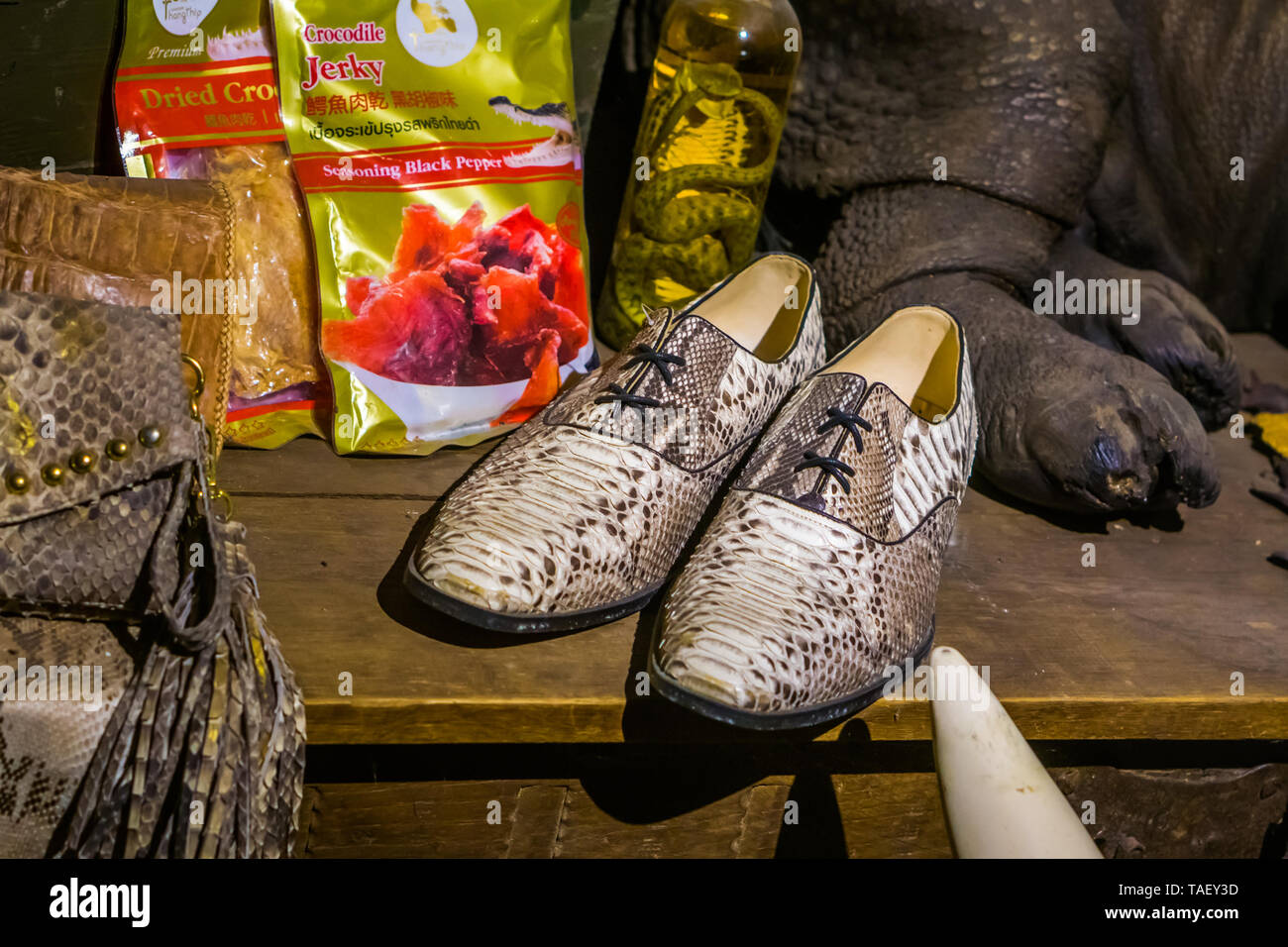 Prodotti di coccodrillo in una finestra commerciale, caccia e uccisione di animali per i prodotti di lusso, Kwadendamme, Paesi Bassi, 19 marzo 2019 Foto Stock