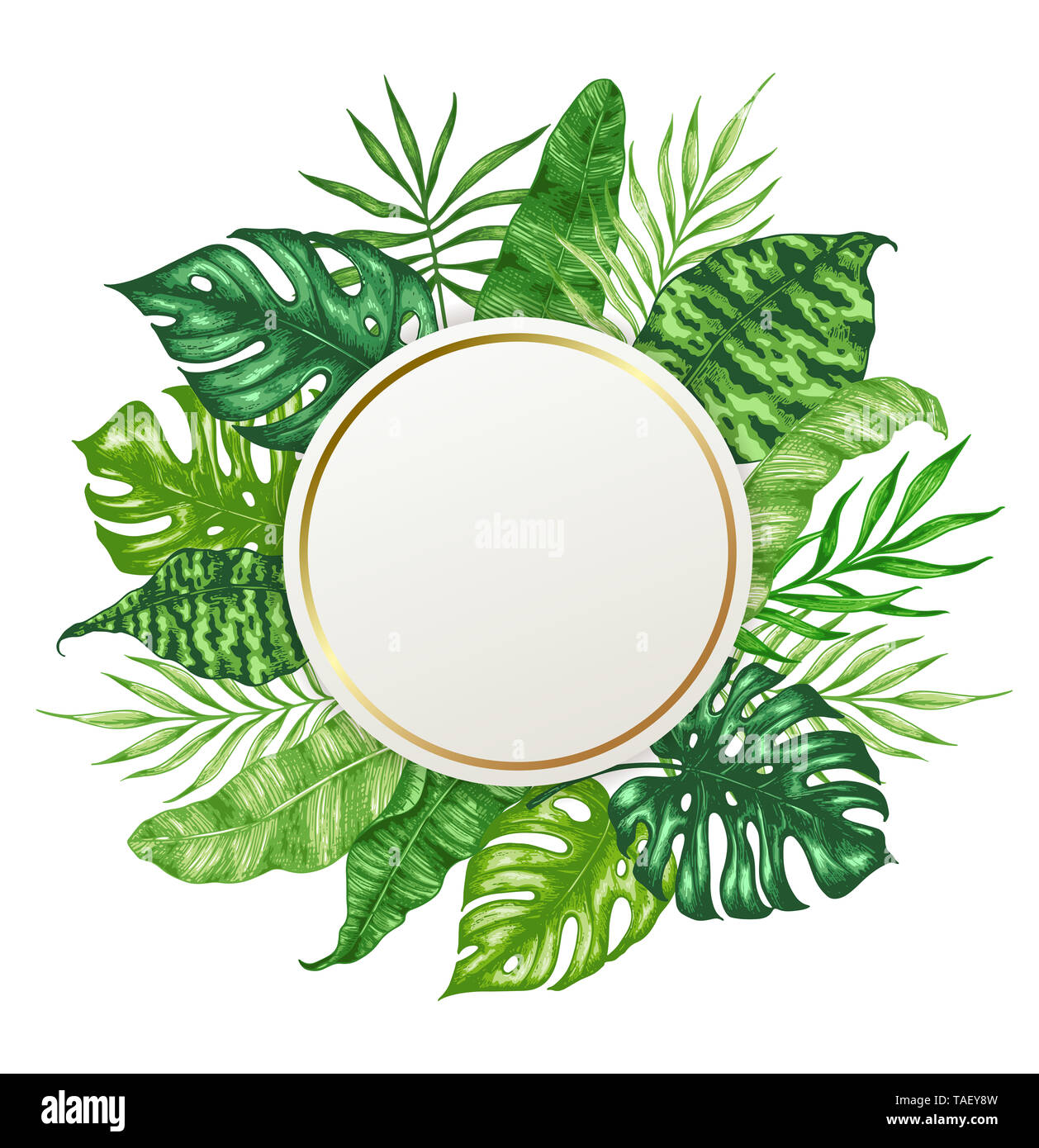L'estate tropicale con sfondo verde di foglie di palma e round banner. Disegnata a mano illustrazione Foto Stock