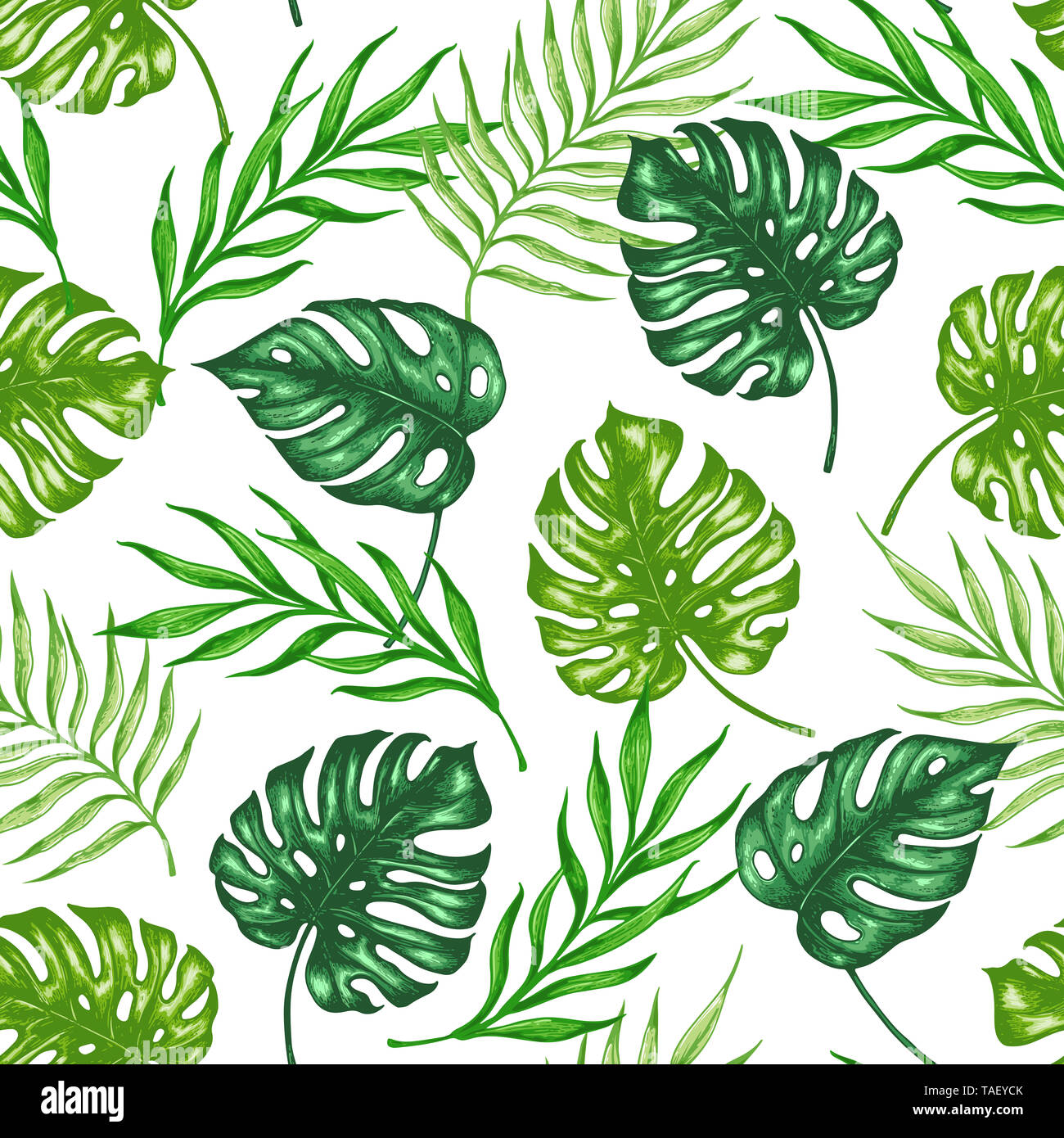 L'estate tropicale seamless pattern verde con foglie di palmo ed il ramo. Disegnata a mano sullo sfondo Foto Stock