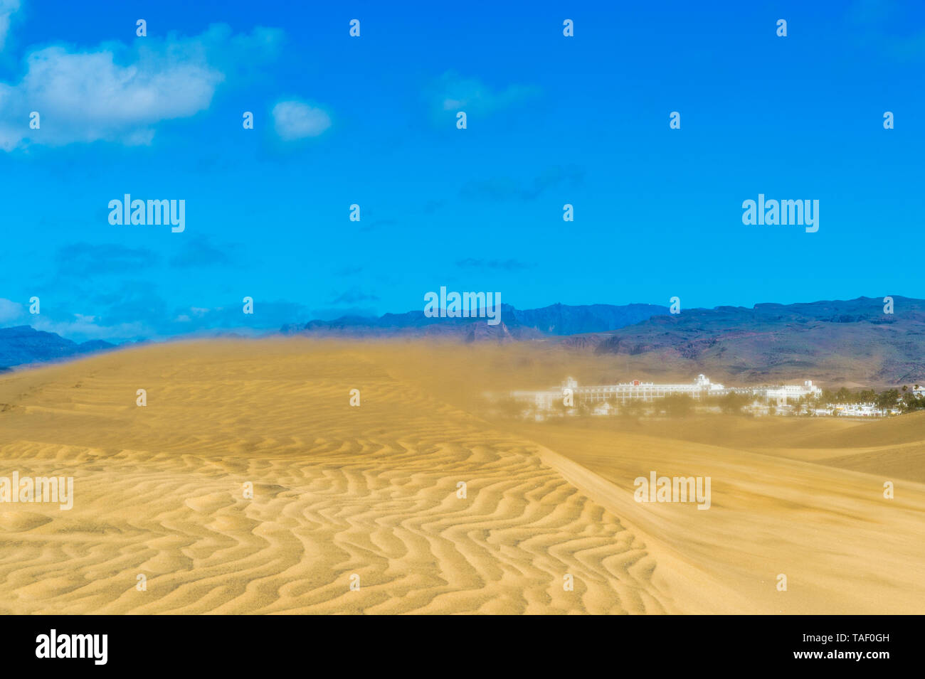 Spagna isole canarie Gran Canaria, tempesta di sabbia di dune Foto Stock