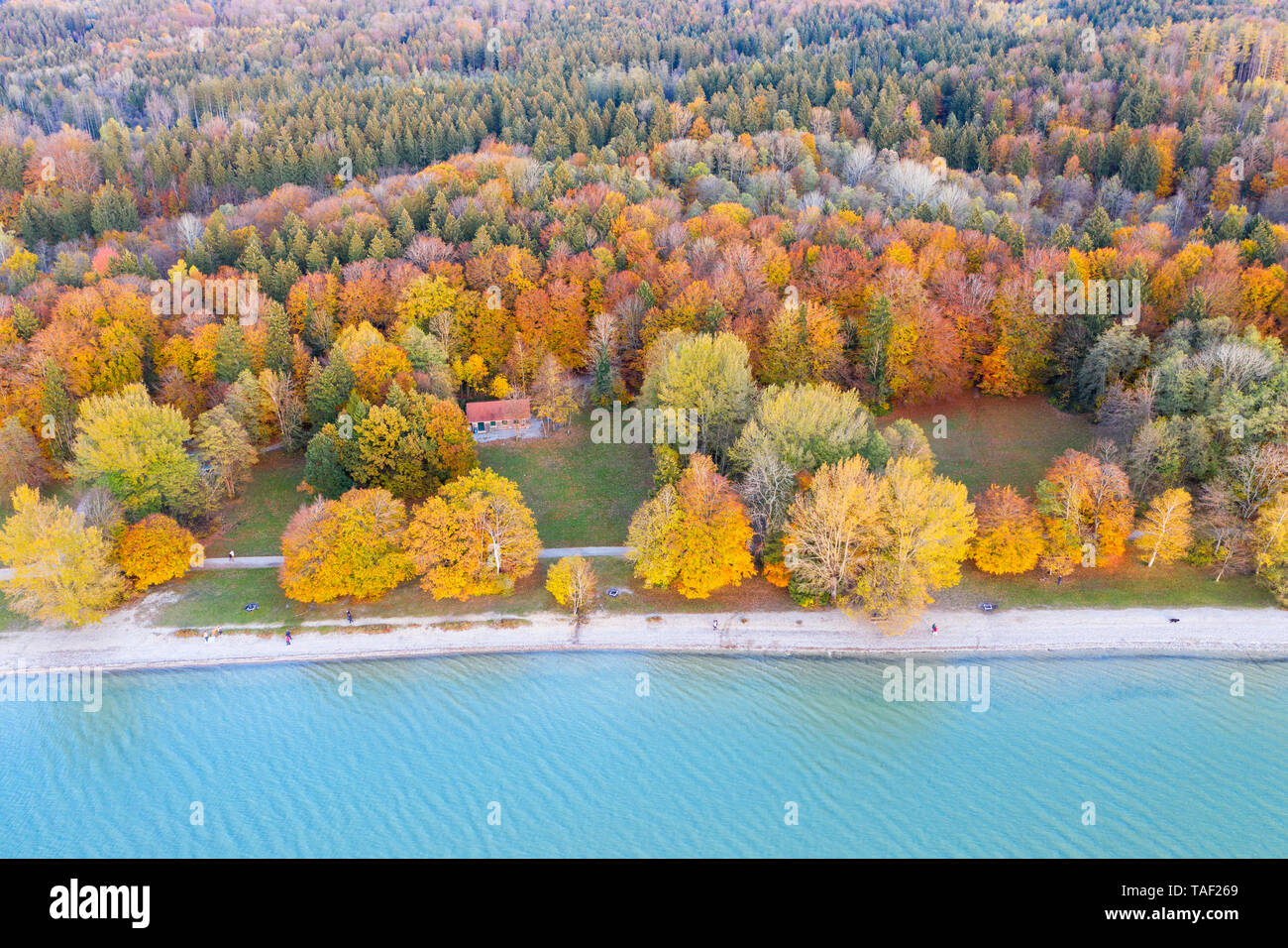 In Germania, in Baviera, la riva del lago di Starnberg, Fuenfseenland, locale area ricreativa Ambach, vista aerea Foto Stock